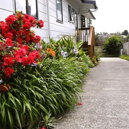 Hidden Gem For Business Traveller'S Apartment Tauranga Exterior photo