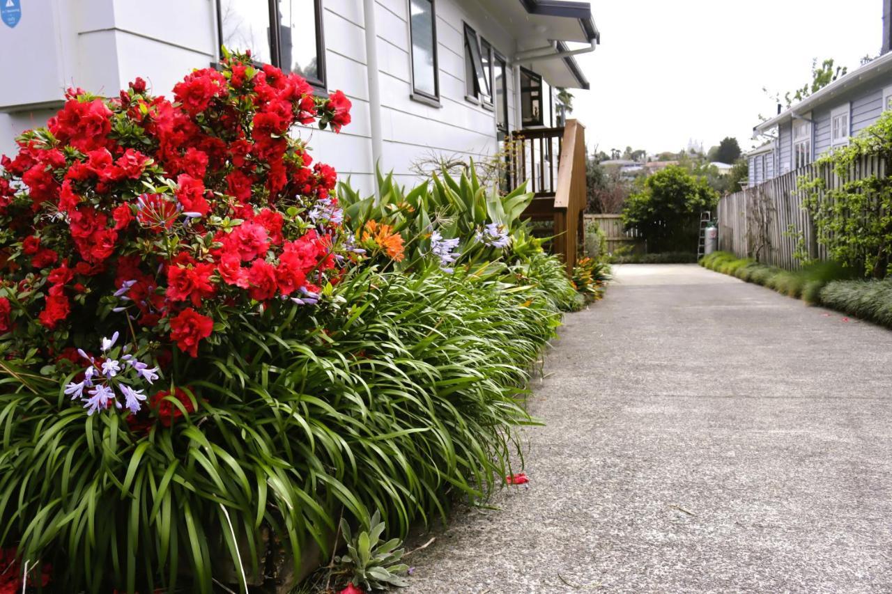 Hidden Gem For Business Traveller'S Apartment Tauranga Exterior photo